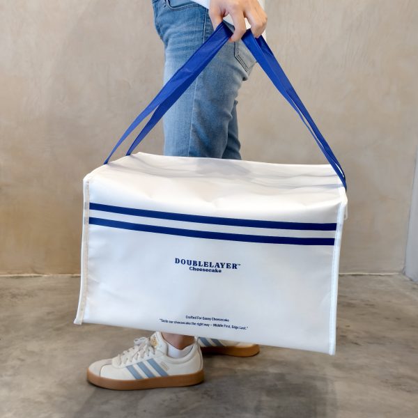 Cooler Bag Large w 6 Ice Packs